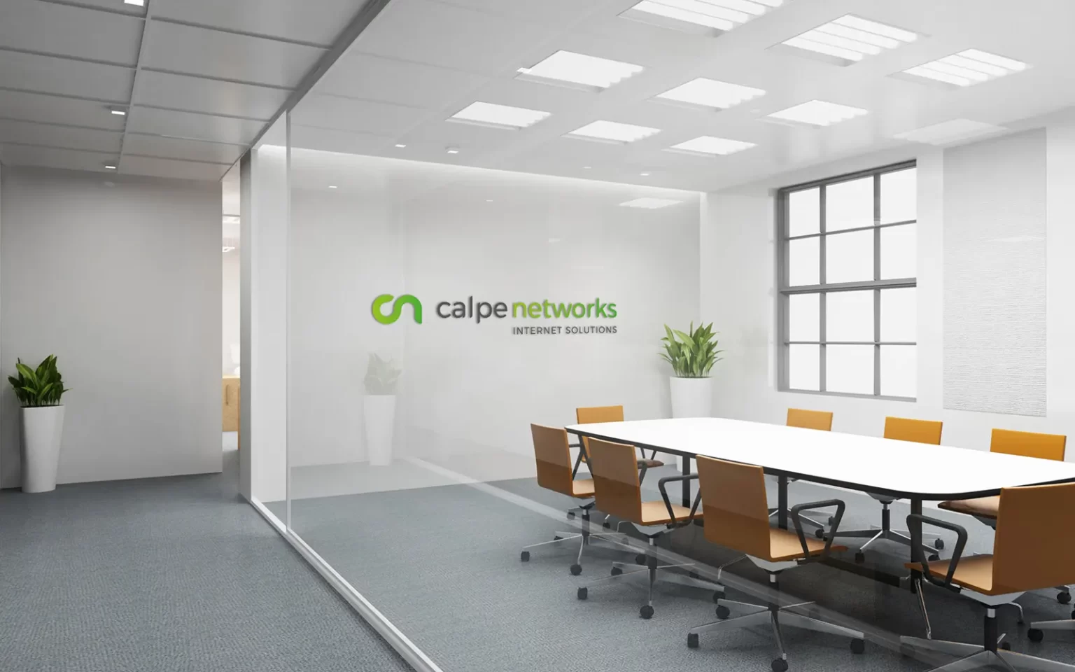 CN-Signs-2